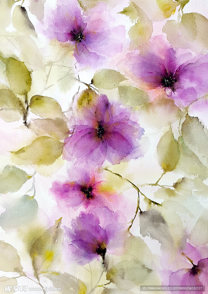 花卉
