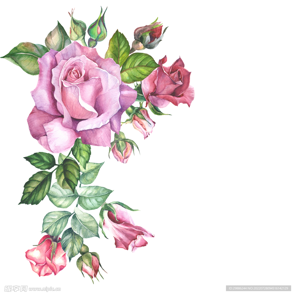 花卉