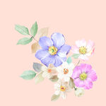 花卉