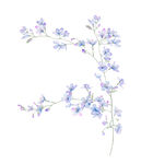 花卉