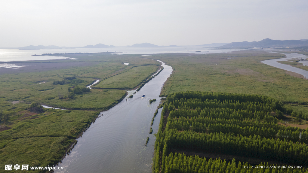 东平湖湿地 