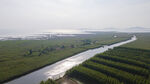 东平湖湿地