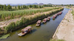 东平湖湿地