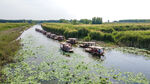东平湖湿地