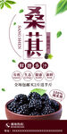 桑葚展架