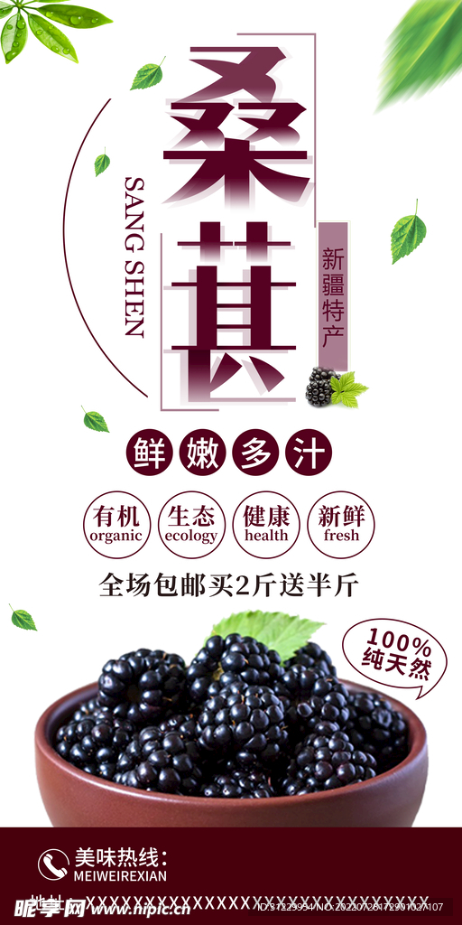 桑葚展架