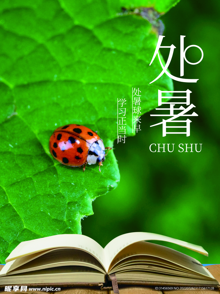 处暑