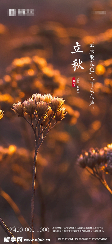 立秋节气