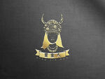 LOGO样机