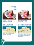 呼吸道海报