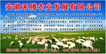 农业发展 羊业专业合作社 