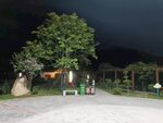 公园夜景