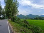 田园风光