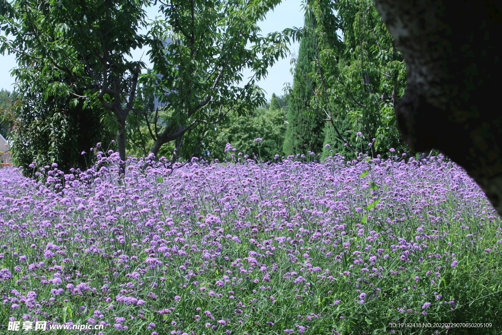 公园风景 