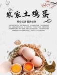 土鸡蛋美食海报
