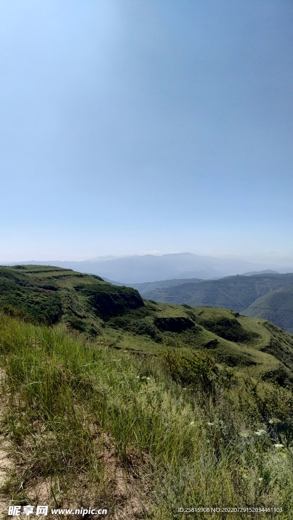 田野