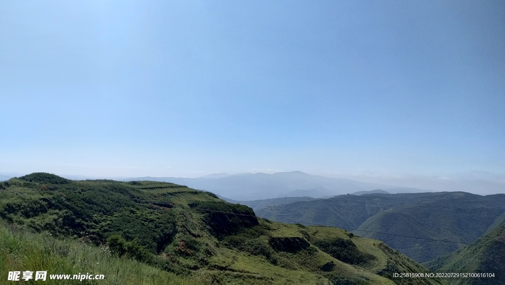 田野