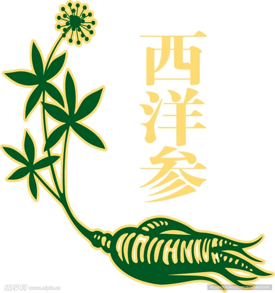 西洋参人参