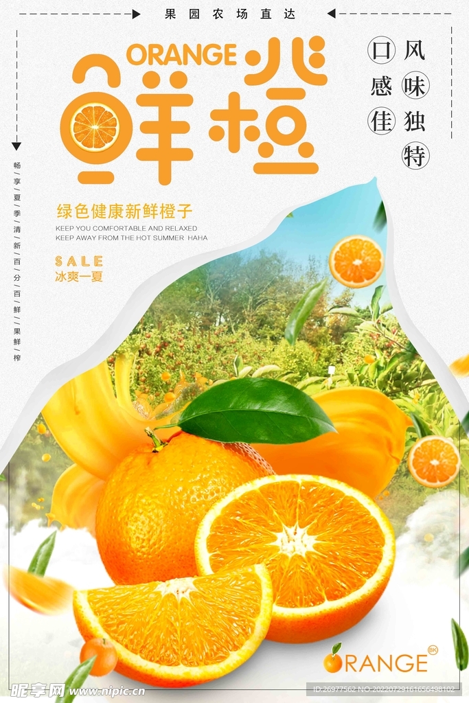  鲜橙背景
