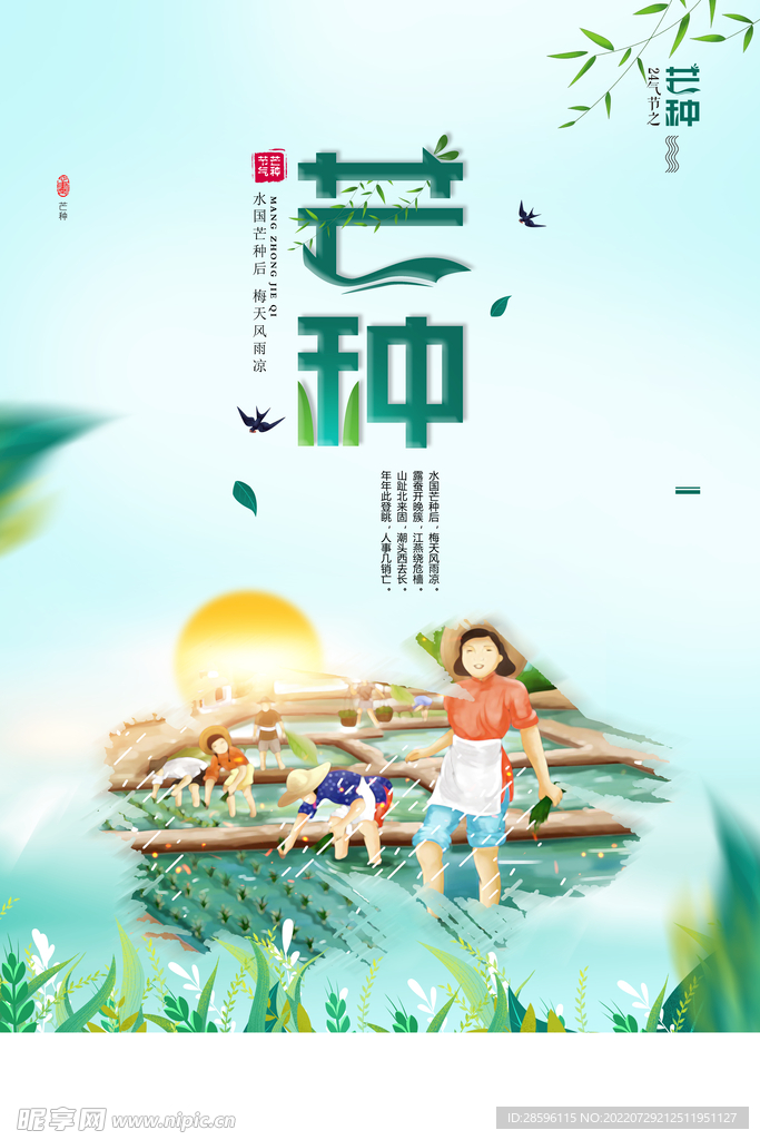 芒种             