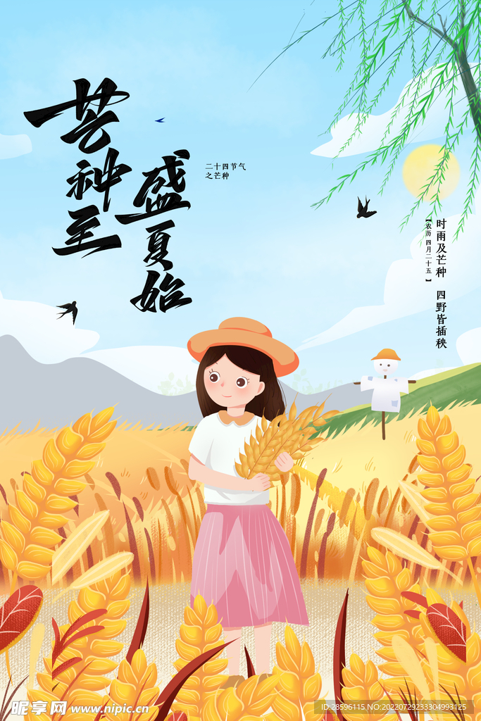 芒种             