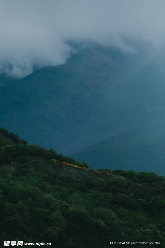 朦胧山景
