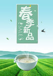  茶叶春茶新品