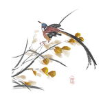 中式水墨花草绘画