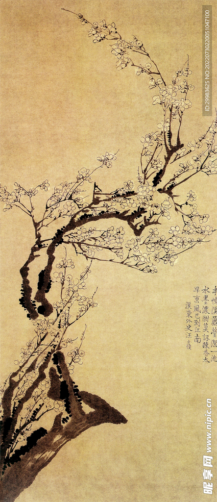 梅花图