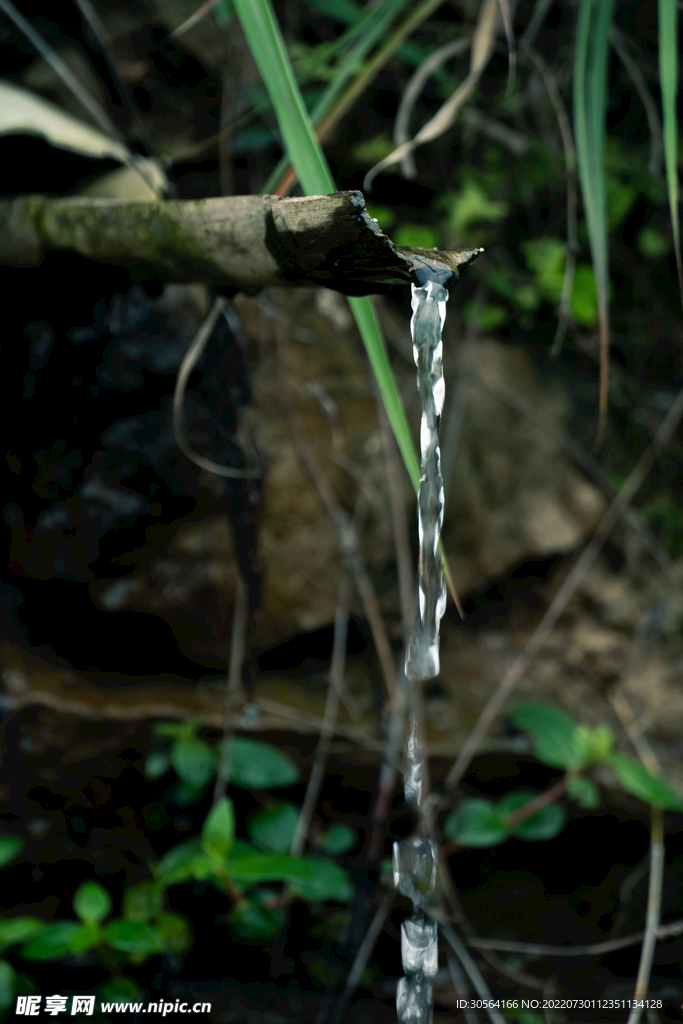 户外竹子水流