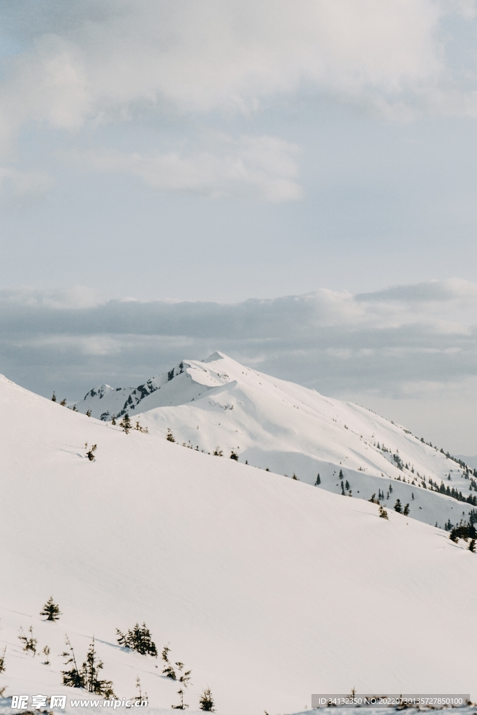 雪景