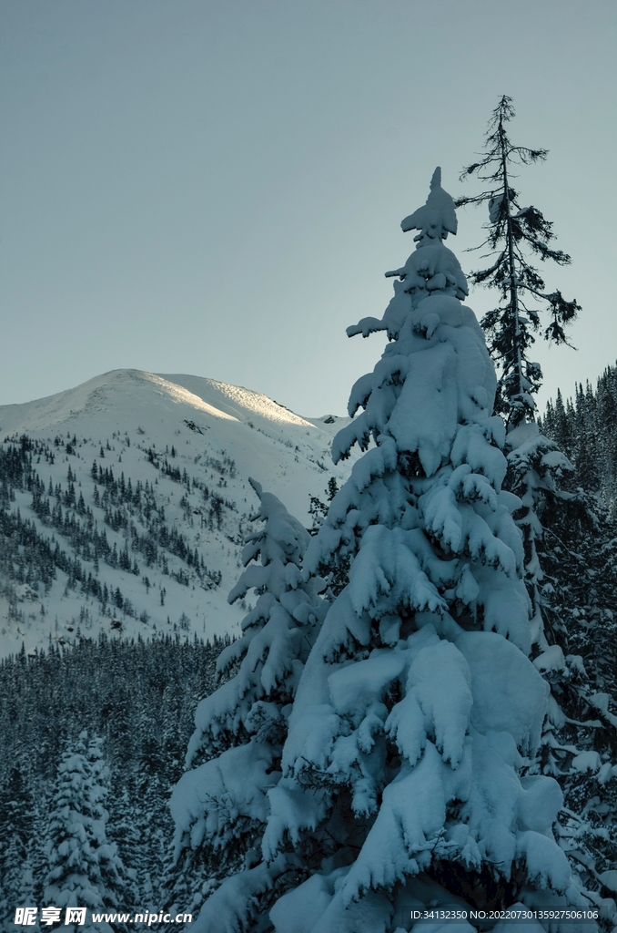 雪景