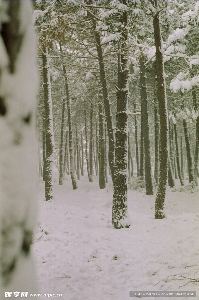 雪地