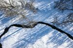 雪