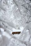 雪