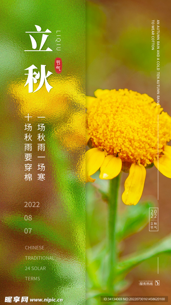 立秋海报