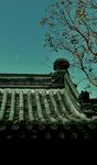 月下龙楼