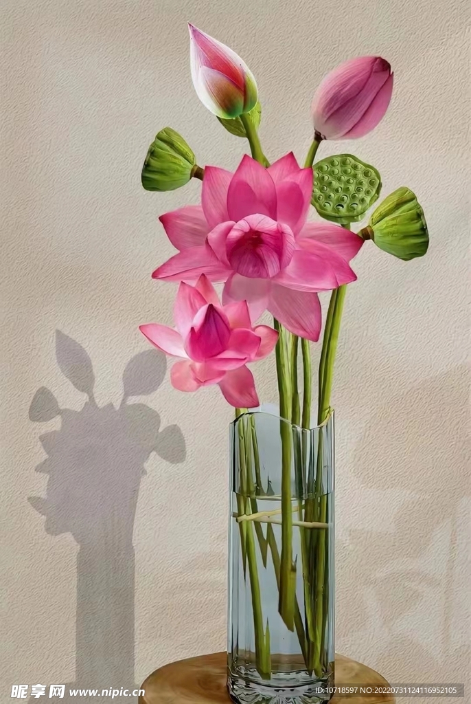 莲花莲子