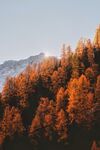 秋季山林摄影