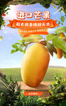  新鲜芒果 水果宣传海报