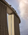 新加坡 城市 滨海 建筑 