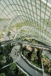 新加坡 城市 滨海 建筑 