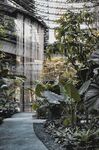 新加坡 城市 滨水城市 建筑 