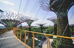 新加坡 城市 滨水城市 建筑 