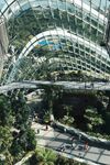 新加坡 城市 滨水城市 建筑 