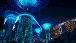 新加坡 城市 滨海 建筑 