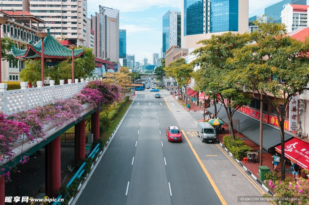 新加坡 城市 滨海 道路