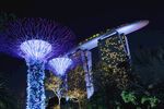 新加坡 城市 滨海 建筑 