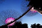 新加坡 城市 滨海 建筑 