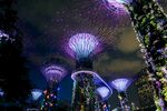 新加坡 城市 滨海 建筑 